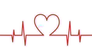 package2_4DUltrasound_Knoxville